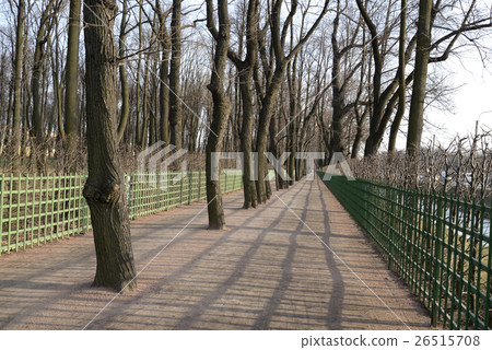 Summer Garden in St.Petersburg. 26515708