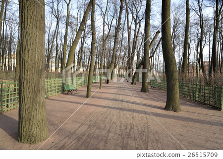 Summer Garden in St.Petersburg. Summer Garden in St.Petersburg. 26515709