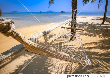 beach cradle under coconut tree at sea beach 26516019