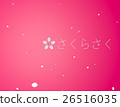 櫻花 26516035