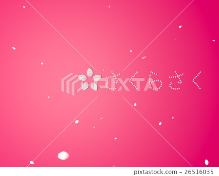 Cherry blossom Cherry blossom 26516035