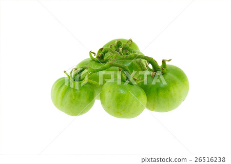 Green tomato isolated on white background Green tomato isolated on white background 26516238