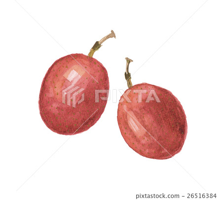 Passion fruit red Passion fruit red 26516384