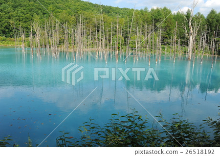 Blue Pond Japan Blue Pond Japan 26518192