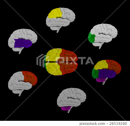 3d rendering  human of the  brain 26519280