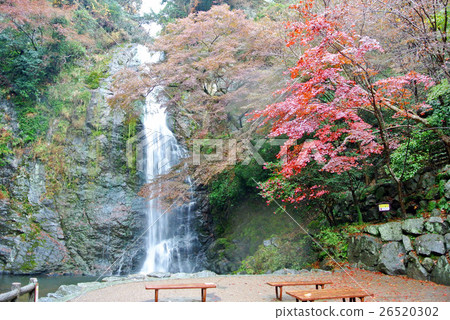 Otaki of Minoh 26520302