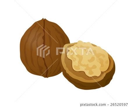 胡桃木 胡桃木 26520597