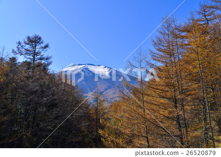 [山梨縣] za澤林道的富士山 26520879
