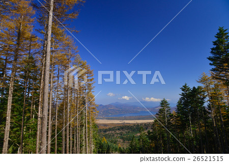 [Yamanashi Prefecture] Lake Yamanaka seen from Takizawa Forest Road in autumn colors 26521515