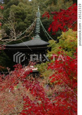 Eiken-do Taga Eiken-do Taga 26522319