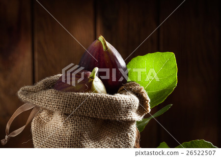 macro figs 26522507