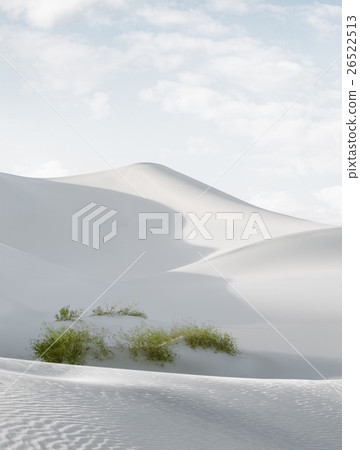 white dunes white dunes 26522513