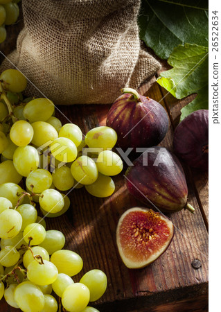 fruit fruit 26522634