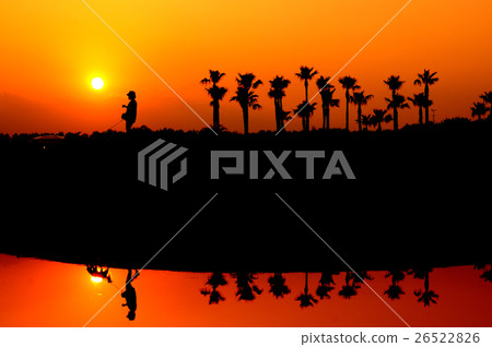 Sunset of the park Sunset of the park 26522826