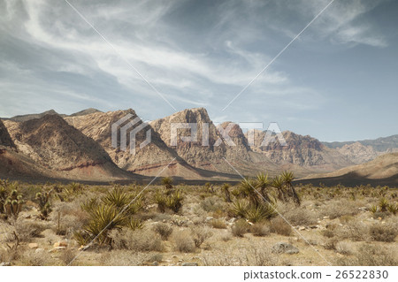 arizona arizona 26522830
