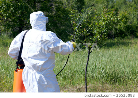 Pesticide spraying. Pest management. 26523098