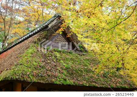 Autumn falling on the roof of straw 26523440