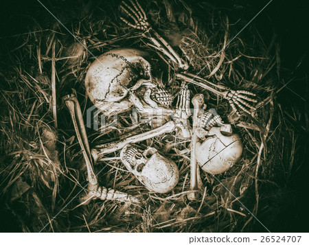 Abstract three skull face in abandoned bird nest. 26524707