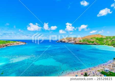 夏威夷哈瑙瑪灣 夏威夷哈瑙瑪灣 26526615