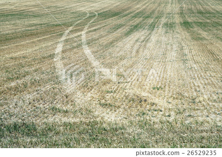 Rolling hills of the Tallgrass Prairie Rolling hills of the Tallgrass Prairie 26529235