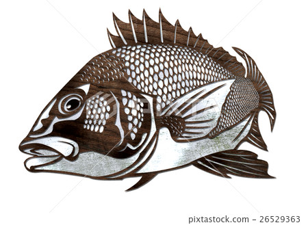 Fish illustration 26529363