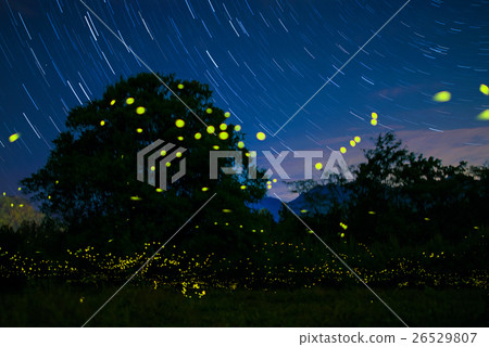Chichibu's firefly ball 26529807