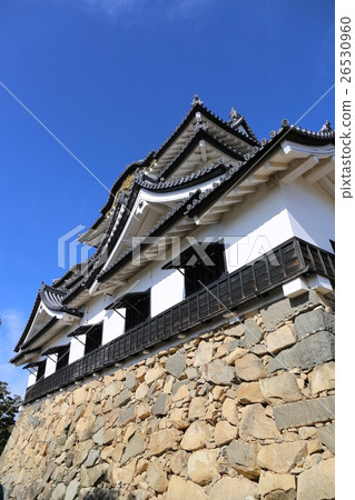 Hikone castle in autumn 26530960
