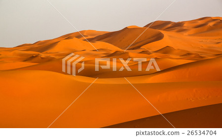 Stunning sand dunes of Merzouga 26534704