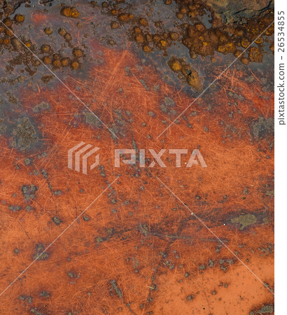  Texture 26534855
