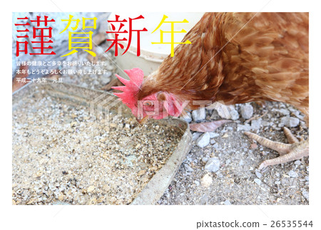 Chicken zodiac 26535544
