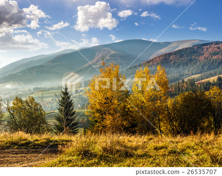 foggy and hot sunrise in Carpathian mountains foggy and hot sunrise in Carpathian mountains 26535707