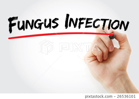Hand writing Fungus infection with marker 26536101