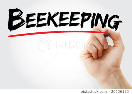 Hand writing Beekeeping with marker 26536123