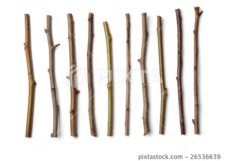 Row of dry wooden twigs Row of dry wooden twigs 26536639