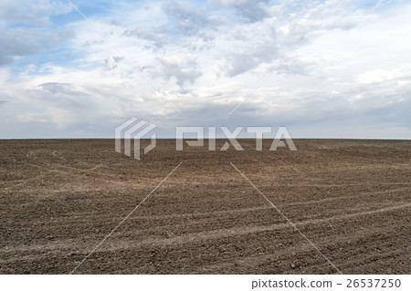Arable land to the horizon Arable land to the horizon 26537250