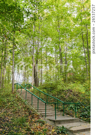 Concrete stairs with a handrail in a green forest Concrete stairs with a handrail in a green forest 26537257