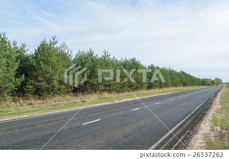 Asphalt highway with white intermittent markings 26537262