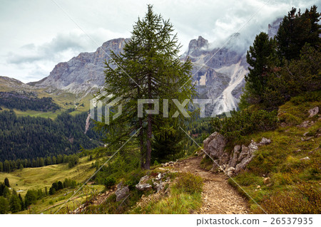 hiking trail in the mountains 26537935