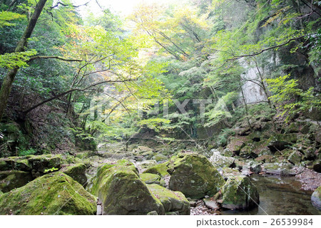 Red-Eyes Advance Falls 26539984