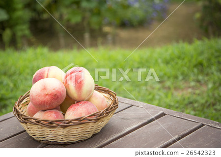 summer fruits summer fruits 26542323