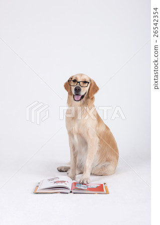 Animal companion and me Animal companion and me 26542354