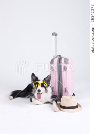 Animal companion and me Animal companion and me 26542378
