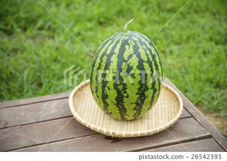 summer fruits  26542393