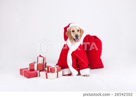 Animal companion and me Animal companion and me 26542502