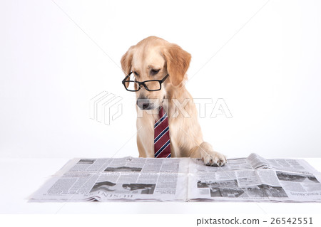 Animal companion and me Animal companion and me 26542551