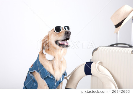 Animal companion and me Animal companion and me 26542693
