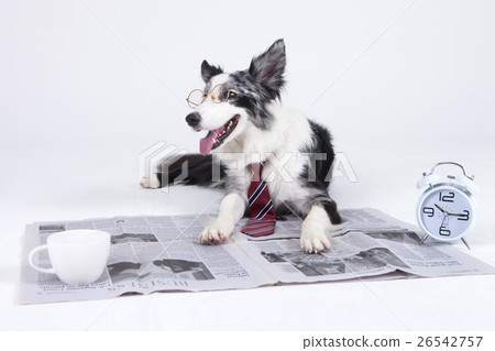Animal companion and me Animal companion and me 26542757
