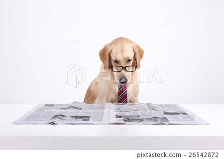 Animal companion and me Animal companion and me 26542872
