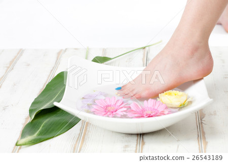 Beauty Care  26543189