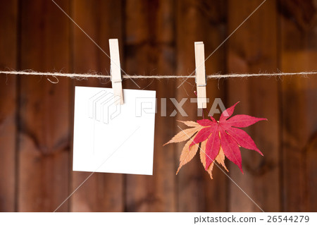 Autumn Object Autumn Object 26544279